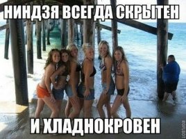 b74d82deec4102a9c7ad3f9d146f50d0.jpg