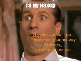 IMG_9541.jpeg