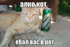 CFhlyzcvLT0.jpg