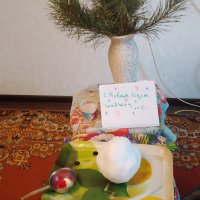 IMG_20241222_123924_678.jpg