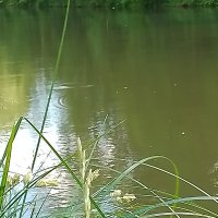 IMG_20250622_152937_296.jpg
