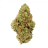 ЧЕЧНЯ