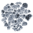 neural network